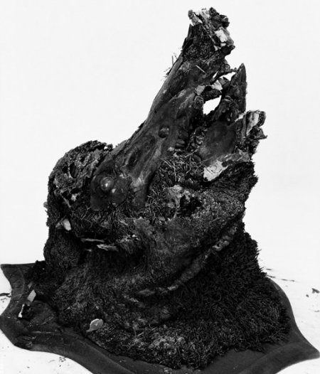 L450xH526_jpg_BOCHET_3-9e2ed