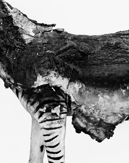 jpg_Laurent_Bochet_5