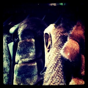 9283158758184a82bc26590464583ef1_7