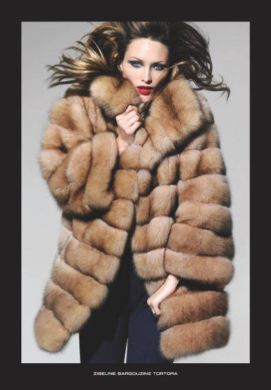 Capture d’écran 2011-12-23 à 18.39.45