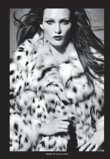 Capture d’écran 2011-12-23 à 18.40.34