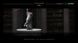 preselection_photos_cartier-2