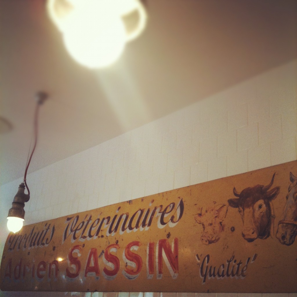 Intérieur Little Fernand