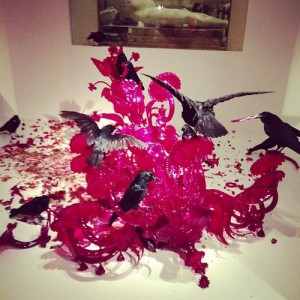 Javier perez - Carrona