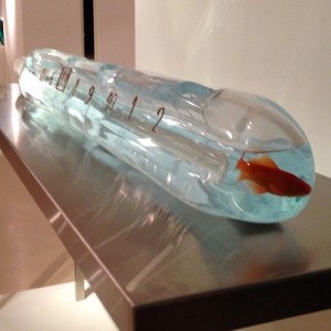 Sheb Yuan poikilotherme