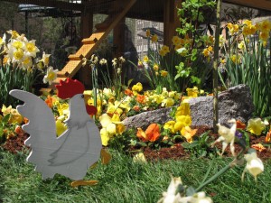 PRINTEMPS_COLMAR_CR OT_COLMAR