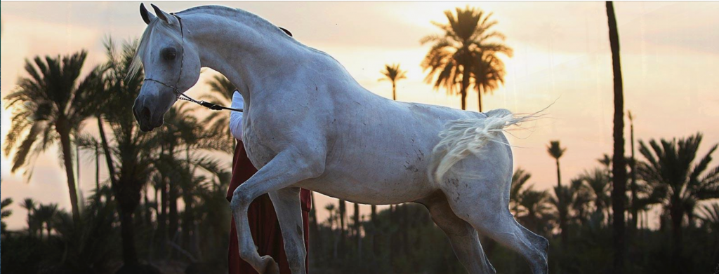 Capture d’écran 2013-11-11 à 14.21.05