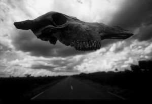 castilho_joao_06-890x612