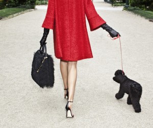 gaspar__la_nouvelle_collection_de_sacs_de_carolina_herrera_qui_a_du_chien_6143_north_635x0