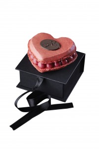 Amorino-presse 8542_FdBlanc