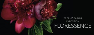 floressence940x360