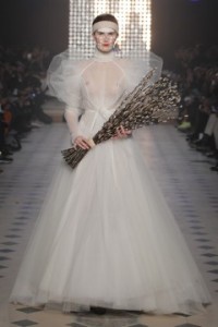 GoldLabel_AW1415_Cat_Low_44-240x359-1