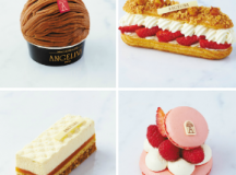 nouvelle collection Angelina