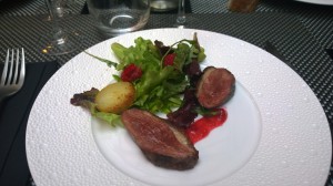 WP_20140429_13_49_46_Pro