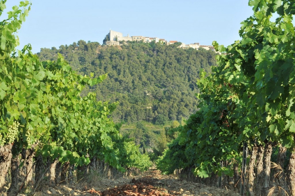 Le domaine de l'Olivette