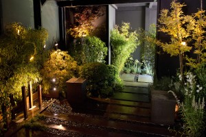 Presse(c)AudeSIRVAIN_038