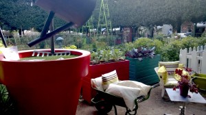 Created with Nokia Smart Cam