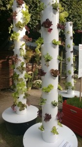 Created with Nokia Smart Cam