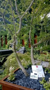 Created with Nokia Smart Cam