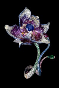 Ring_Her Splendid Smile by Wallace Chan