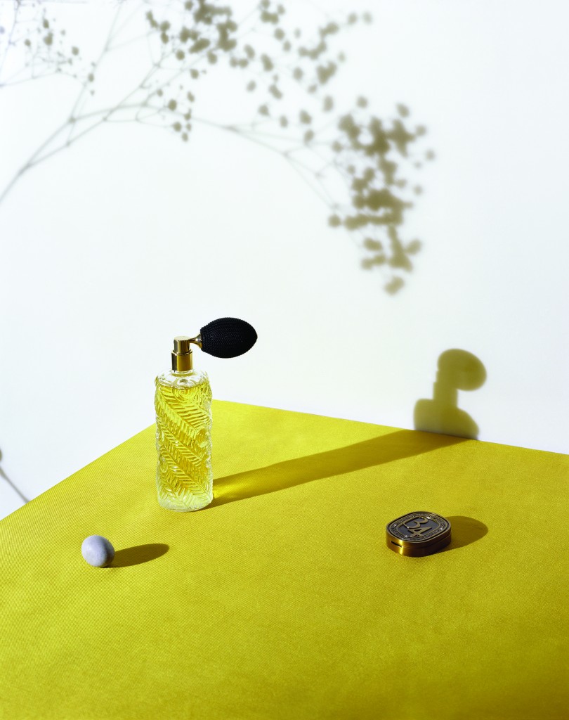 LaCollection34_ambiance_essencesinsensées_md300