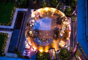 Bulle du Collectionneur