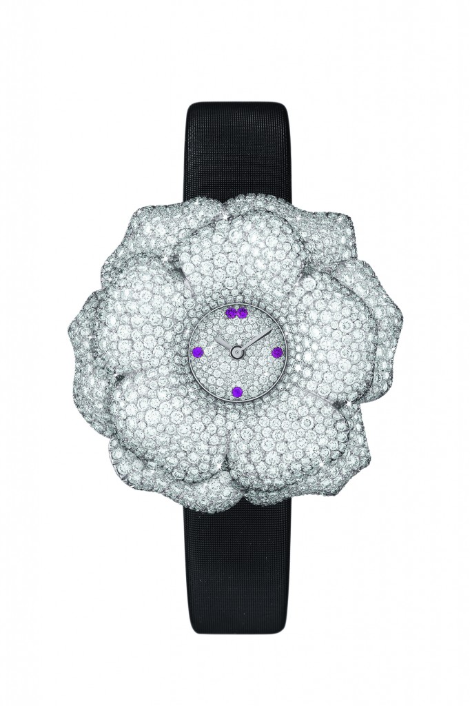 Extraordinaire La Rose