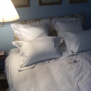 10958582_1550837565200152_7633378774021858137_n