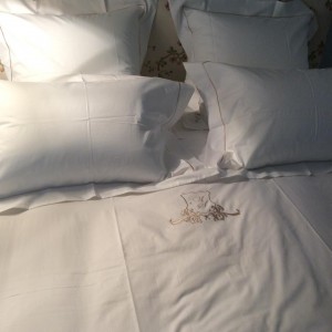 10989134_1550837521866823_940900760930007824_n