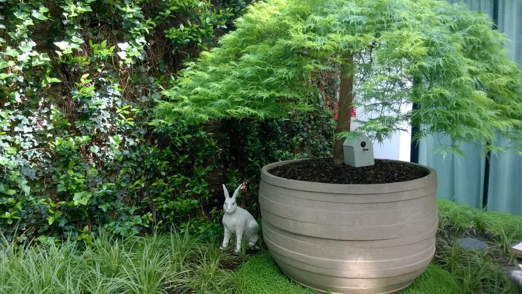 Prise avec Lumia Selfie