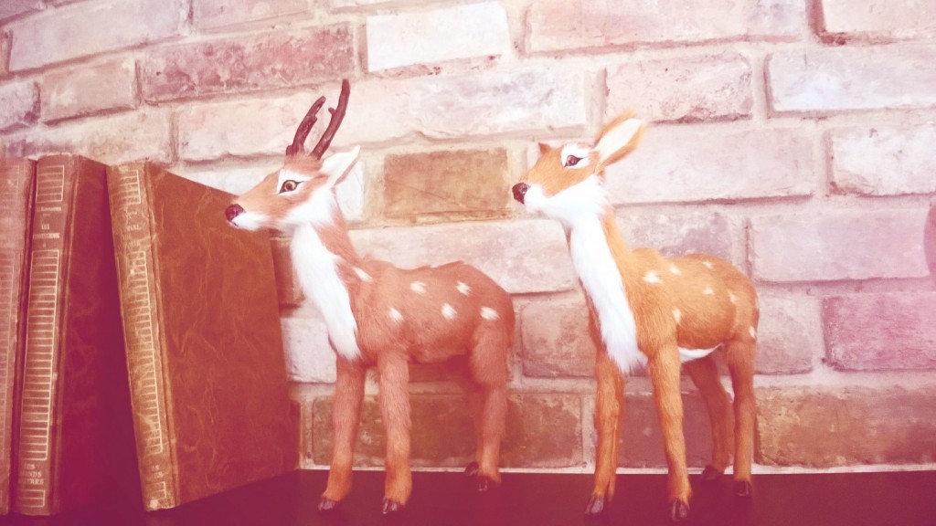 Prise avec Lumia Selfie