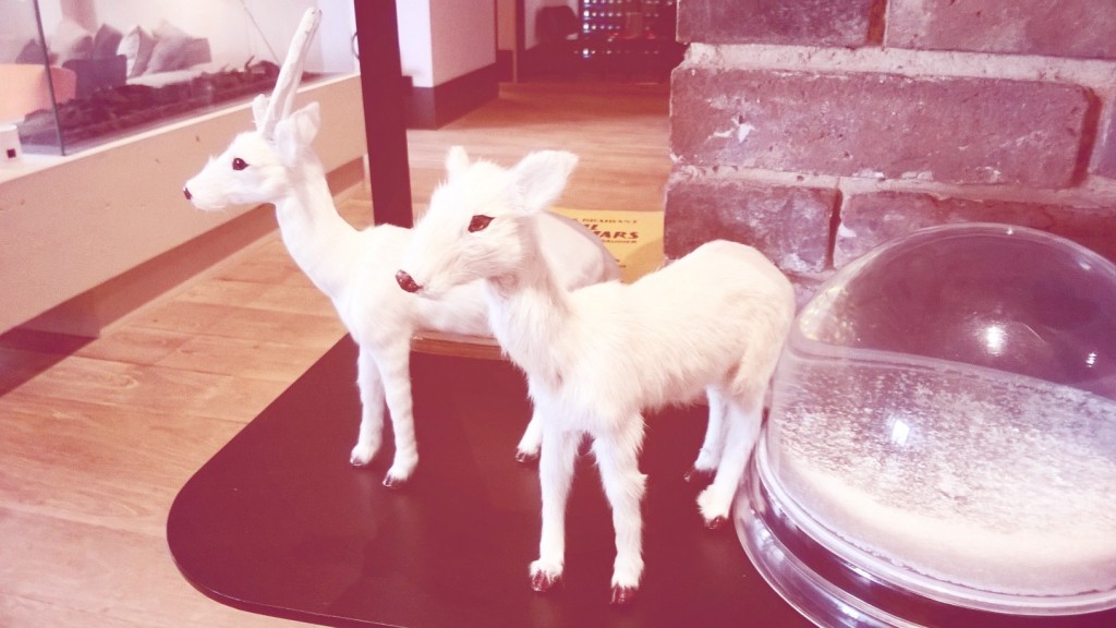 Prise avec Lumia Selfie