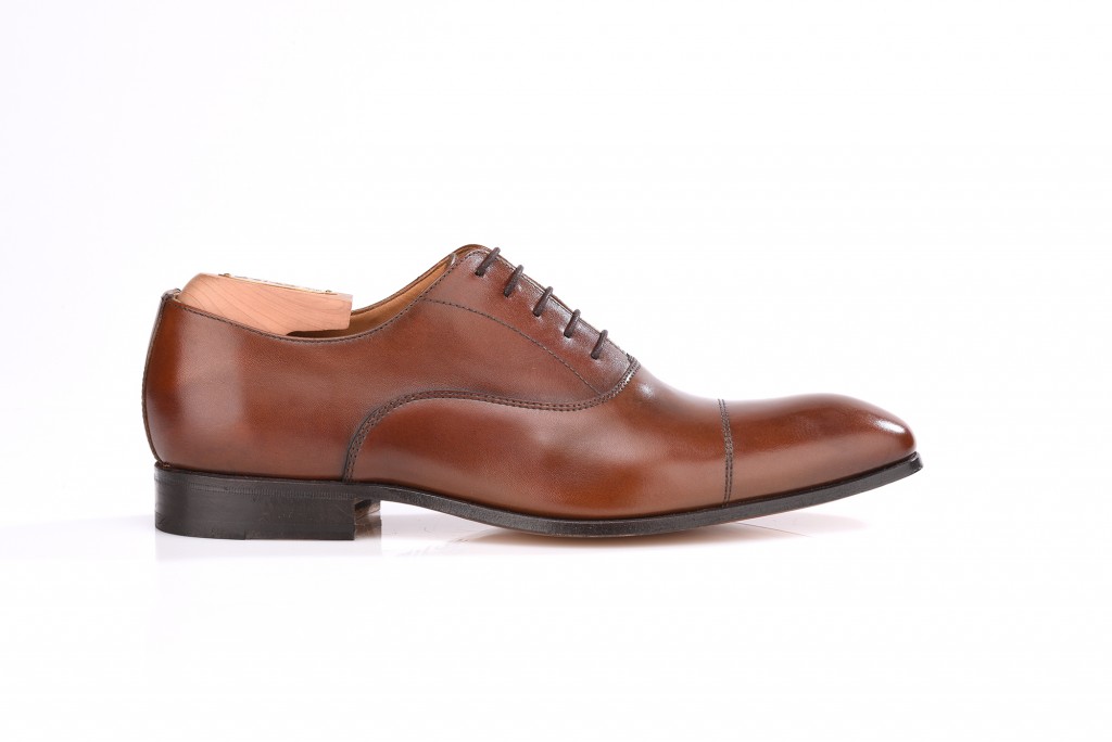 Brisbury_chataigne_profil