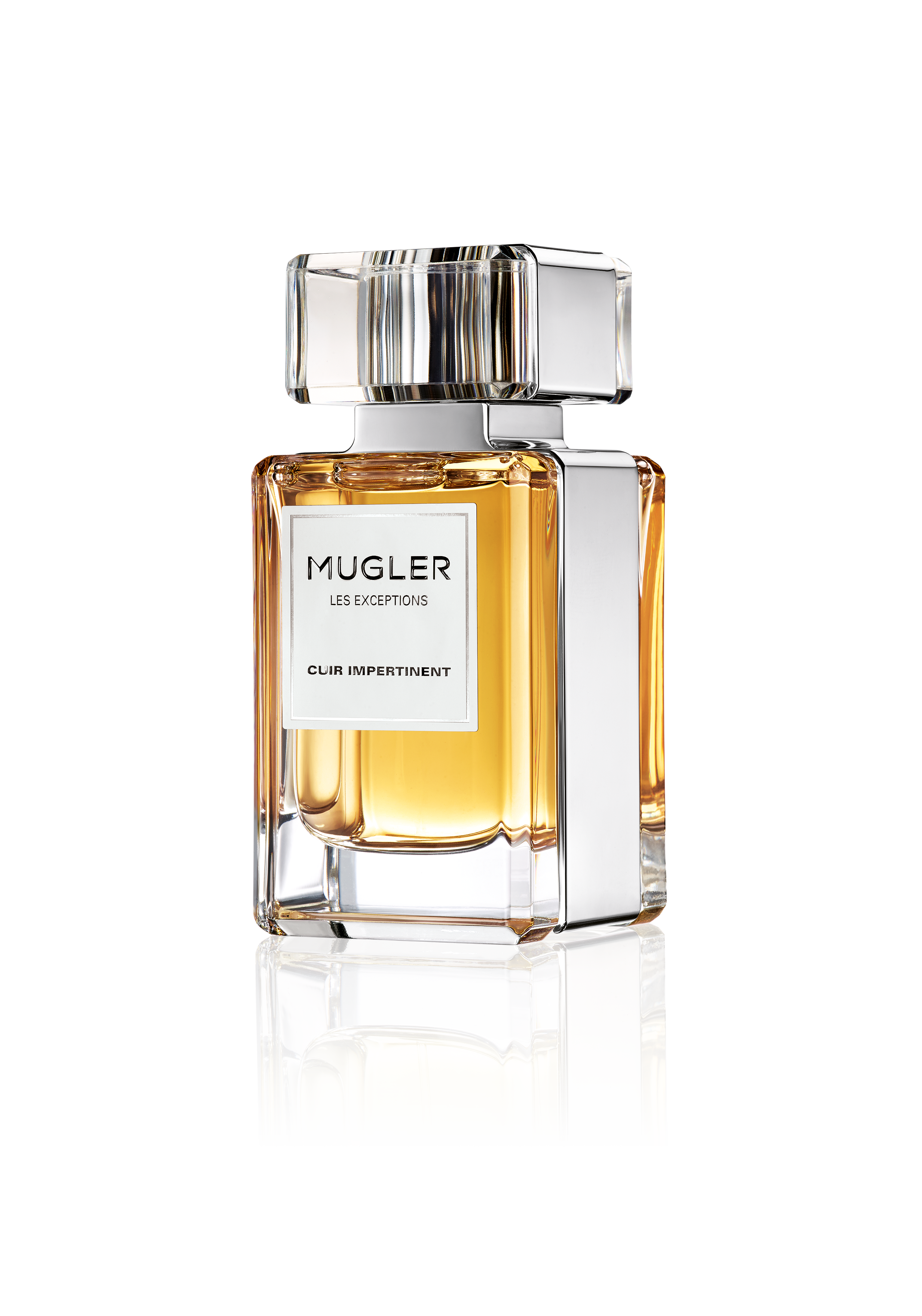 2015 EXCEPTIONS CUIR IMPERTINENT DETOURE