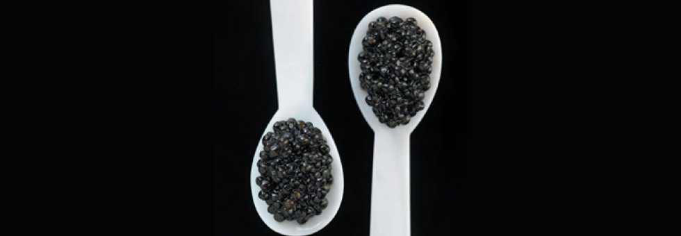 29-20-caviar-03