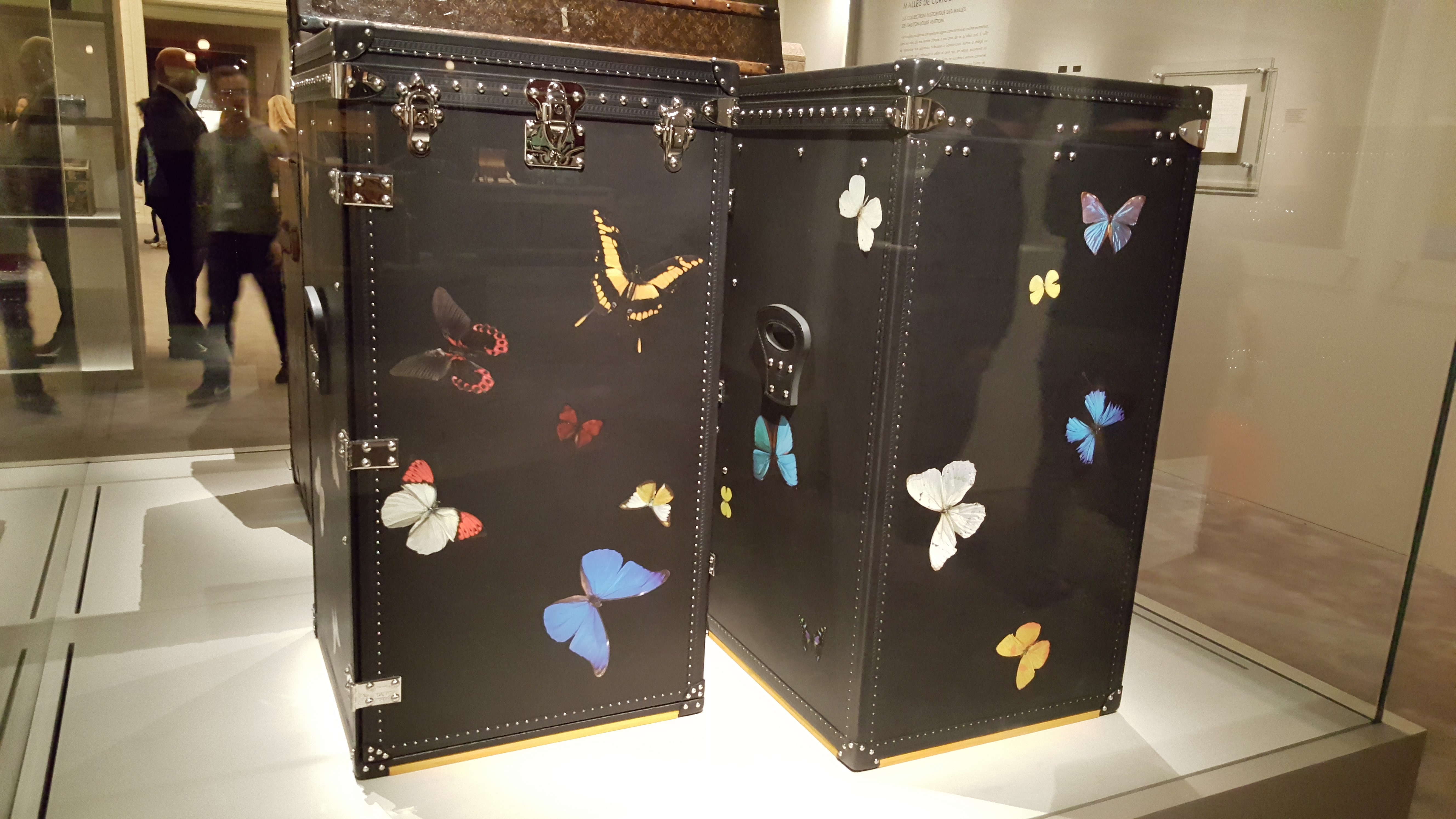 December 03, 2015 at 1128PM (2)