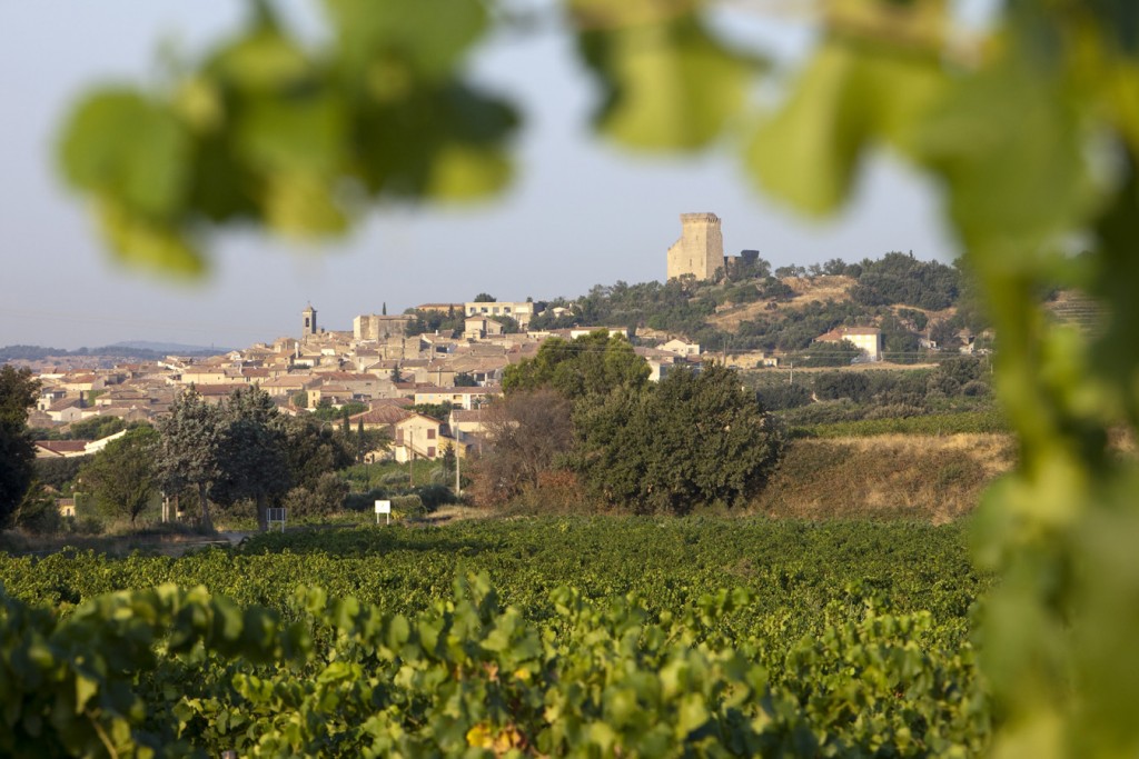 Les Sénéchaux Châteauneuf Du Pape