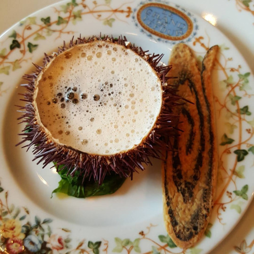 tumblr_nz1g6vhFCY1qdfi4yo1_500