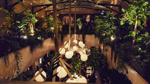 tumblr_o17vmigjZZ1qdfi4yo1_500