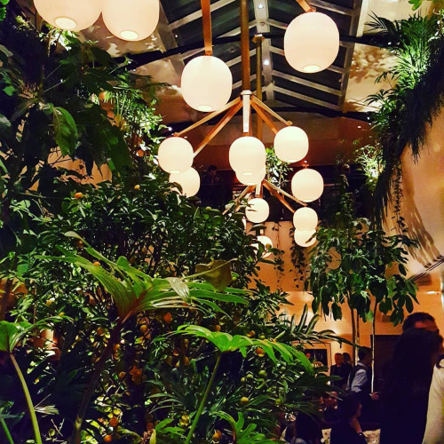 tumblr_o17voj8lkD1qdfi4yo1_500