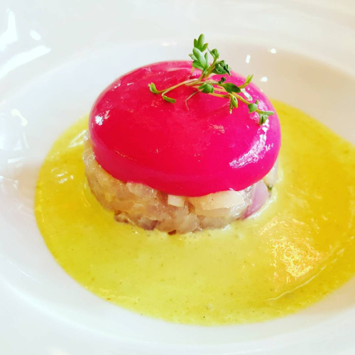 Tartare de dorade au citron confit, lait de concombre, émulsion de betterave