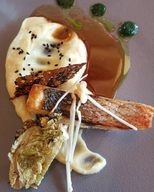 Bar sauvage rôti, mousseline de panais et chocolat blanc, enoki, sésame noir 