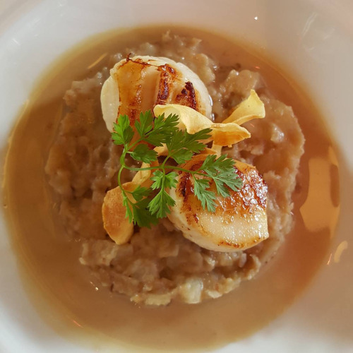 Saint-jacques dorées, écrasée de topinambours, sauce châtaigne et foie gras 