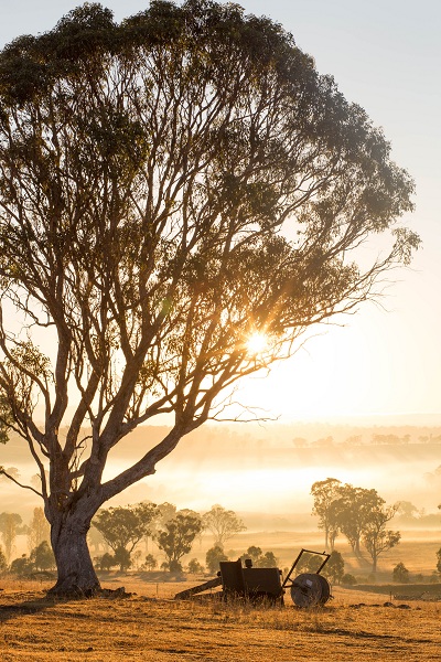 ACHILL Landscape - Copie