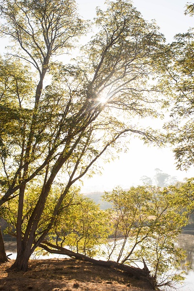 ACHILL Watering Hole - Copie