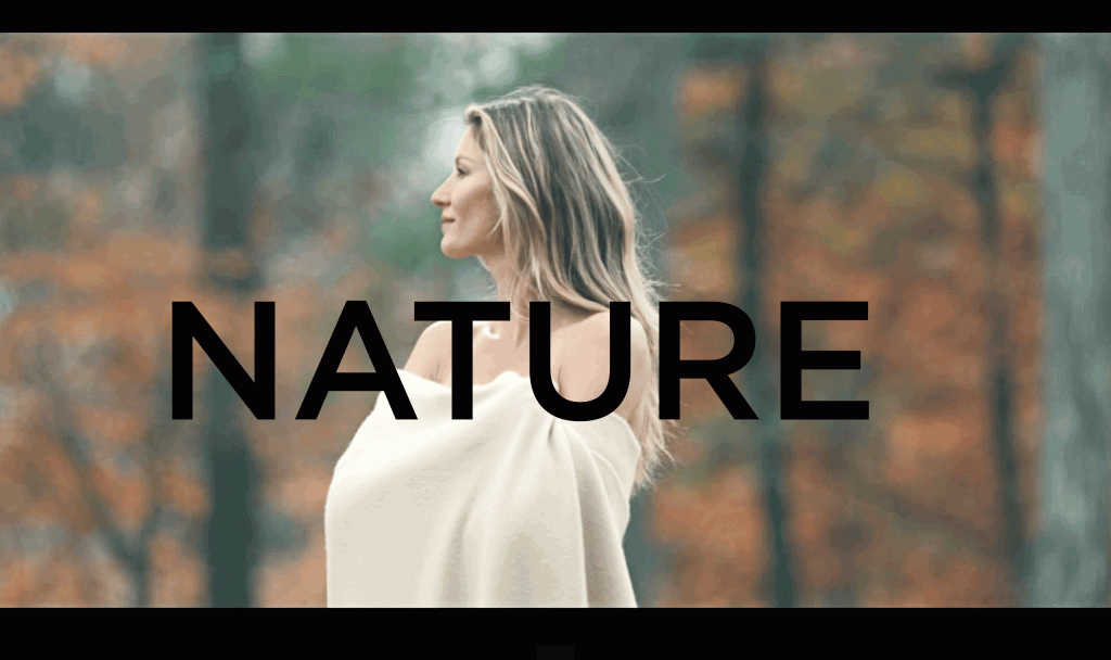 b288e96a3ceeee2226485e4025e33987350c8af0