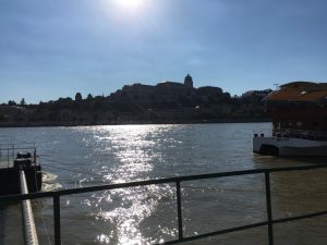 Guillaume Ghrenassia www.ghrenassia.com sziget festival 2016 luxsure magazine (1)