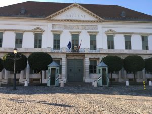 Guillaume Ghrenassia www.ghrenassia.com sziget festival 2016 luxsure magazine (13)