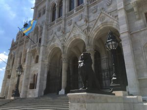 Guillaume Ghrenassia www.ghrenassia.com sziget festival 2016 luxsure magazine (19)