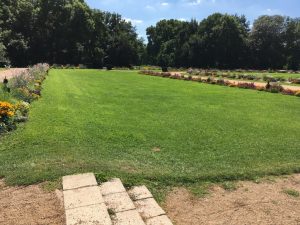 Guillaume Ghrenassia www.ghrenassia.com sziget festival 2016 luxsure magazine (29)